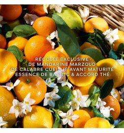 Aqua Allegoria Harvest - Mandarine Basilic - Eau de Toilette Aqua Allegoria Harvest - Mandarine Basilic - Eau de Toilette